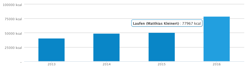 verbrannte-kalorien_2013-2016