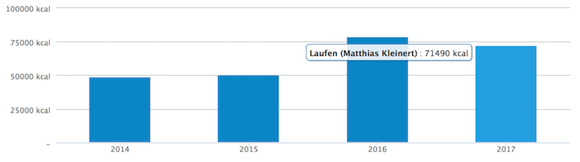 Verbrannte Kalorien 2017